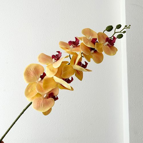 FSARCAN 9-Bloom Phalaenopsis Orchid — Yellow