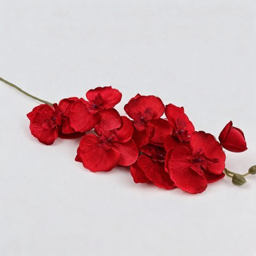 FSARCAN 8-Bloom Autumn Phalaenopsis Orchid — Spring Bright Red