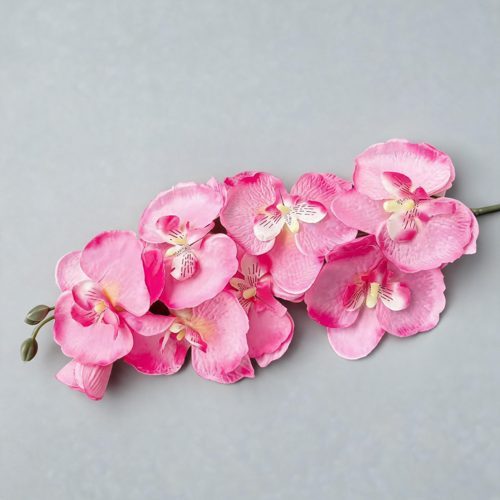 FSARCAN 8-Bloom Autumn Phalaenopsis Orchid — Spring Deep Pink