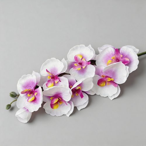 FSARCAN 8-Bloom Autumn Phalaenopsis Orchid — Spring White Purple