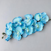 FSARCAN 8-Bloom Autumn Phalaenopsis Orchid — Spring Blue