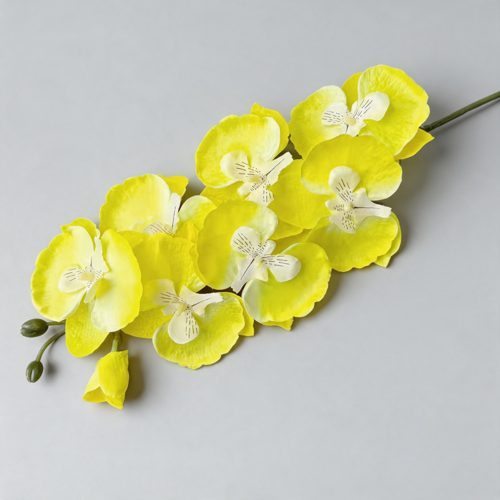 FSARCAN 8-Bloom Autumn Phalaenopsis Orchid — Spring Yellow