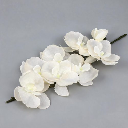 FSARCAN 8-Bloom Autumn Phalaenopsis Orchid — Autumn White