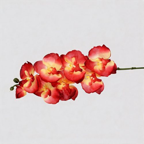 FSARCAN 8-Bloom Autumn Phalaenopsis Orchid — Autumn Red