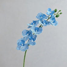 FSARCAN 9-Bloom Phalaenopsis Orchid — Sky Blue