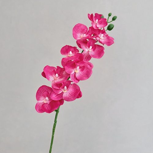 FSARCAN 9-Bloom Phalaenopsis Orchid — Peach Red