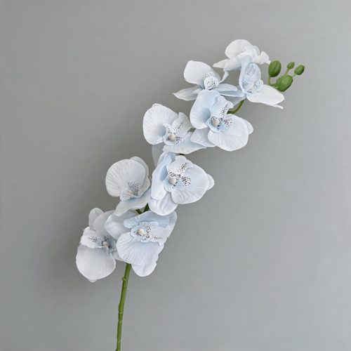 FSARCAN 9-Bloom Phalaenopsis Orchid — Pale Blue
