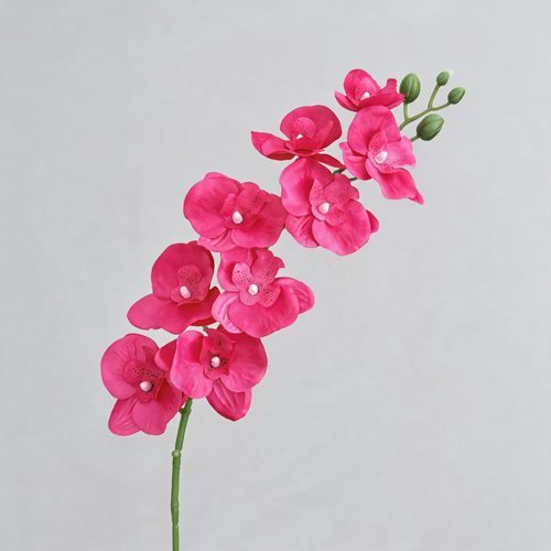 FSARCAN 9-Bloom Phalaenopsis Orchid — Rose Red