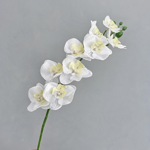 FSARCAN 9-Bloom Phalaenopsis Orchid — White