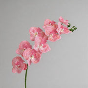FSARCAN 9-Bloom Phalaenopsis Orchid — Pink