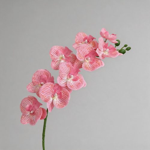 FSARCAN 9-Bloom Phalaenopsis Orchid — Pink