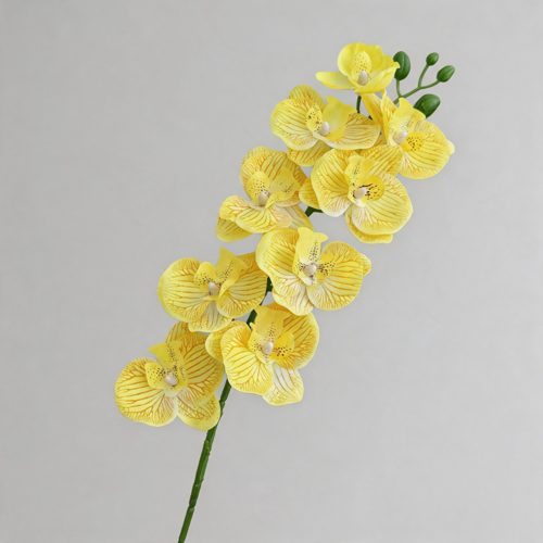 FSARCAN 9-Bloom Phalaenopsis Orchid — Yellow