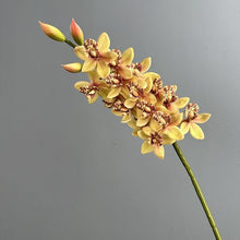 FSARCAN Real-Touch Soft Rubber Cymbidium — Coffee