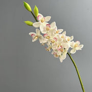 FSARCAN Real-Touch Soft Rubber Cymbidium — White