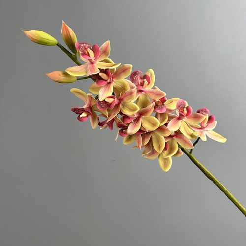 FSARCAN Real-Touch Soft Rubber Cymbidium — Pink Green