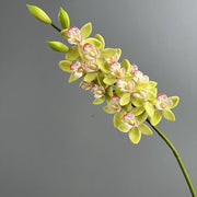 FSARCAN Real-Touch Soft Rubber Cymbidium — Green