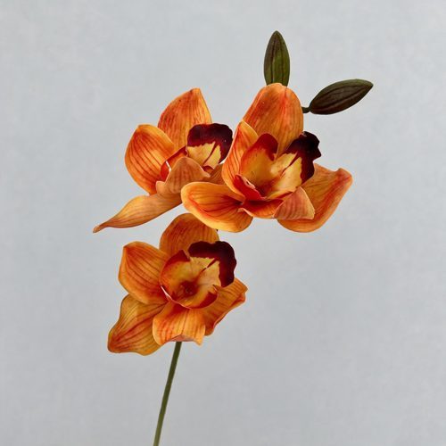 FSARCAN 3-Bloom Cymbidium Orchid — Orange