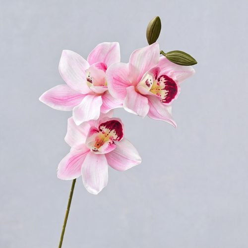 FSARCAN 3-Bloom Cymbidium Orchid — Light Pink