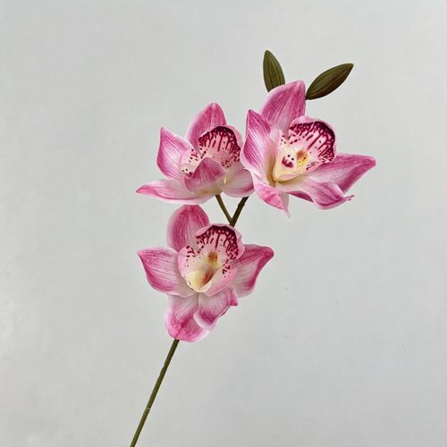 FSARCAN 3-Bloom Cymbidium Orchid — Deep Pink