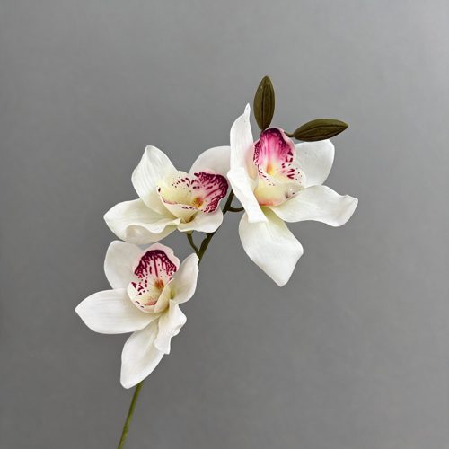 FSARCAN 3-Bloom Cymbidium Orchid — White