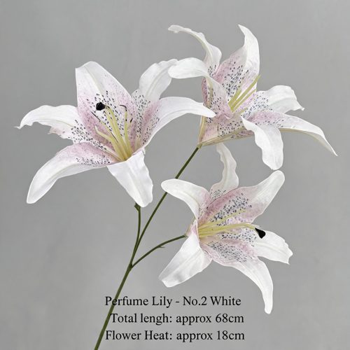 FSARCAN 3-Bloom Oriental-Style Lily — White No. 2