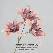 FSARCAN 3-Bloom Oriental-Style Lily — Coffee