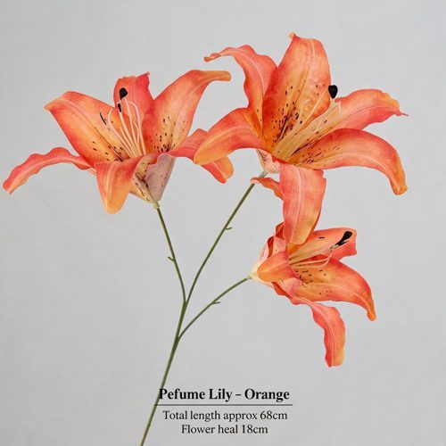 FSARCAN 3-Bloom Oriental-Style Lily — Orange
