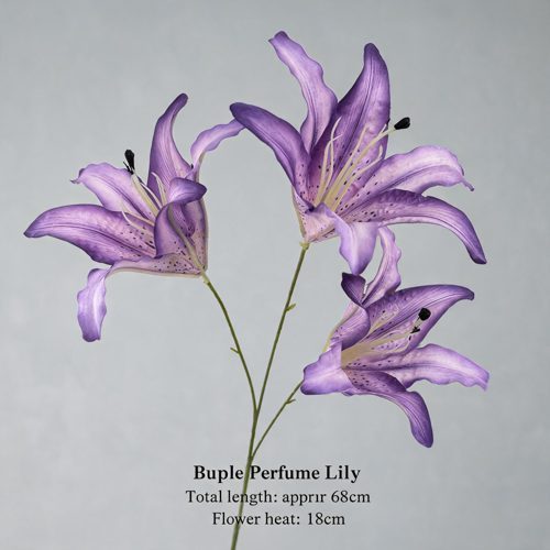 FSARCAN 3-Bloom Oriental-Style Lily — Purple