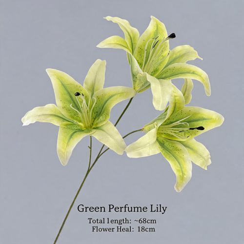 FSARCAN 3-Bloom Oriental-Style Lily — Green