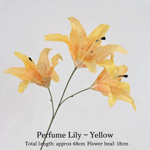 FSARCAN 3-Bloom Oriental-Style Lily — Yellow