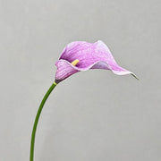 FSARCAN Large Calla Lily — Light Purple