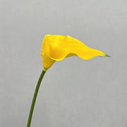 FSARCAN Large Calla Lily — Yellow