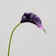 FSARCAN Large Calla Lily — Black Purple