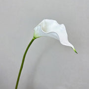 FSARCAN Large Calla Lily — White
