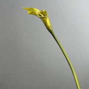 FSARCAN Slender-Tip Calla Lily — Green