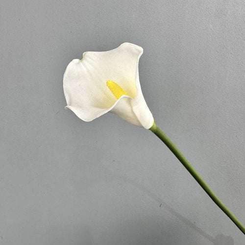 FSARCAN Calla Lily — White