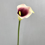 FSARCAN Calla Lily — Taro Purple