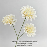 FSARCAN 3-Bloom Dahlia — White