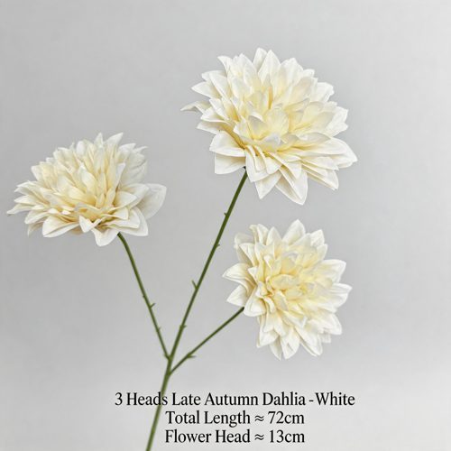 FSARCAN 3-Bloom Dahlia — White