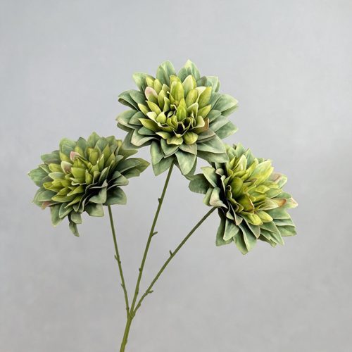 FSARCAN 3-Bloom Dahlia — Green