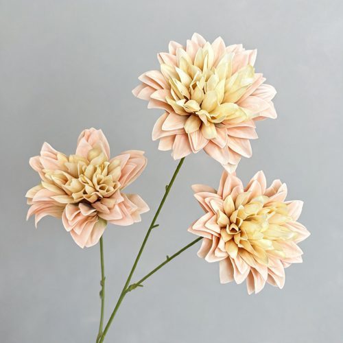 FSARCAN 3-Bloom Dahlia — Champagne