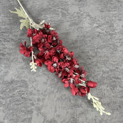 FSARCAN 2-Branch Delphinium — Red