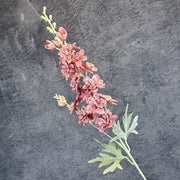 FSARCAN 2-Branch Delphinium — Dusty Rose