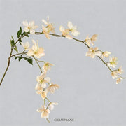 FSARCAN 2-Branch Cascading Jasmine — Champagne