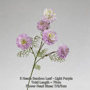 FSARCAN 5-Bloom Scabiosa — Light Purple