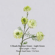 FSARCAN 5-Bloom Scabiosa — Light Green