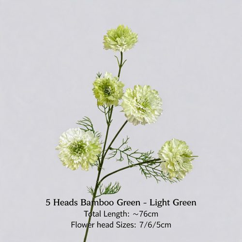 FSARCAN 5-Bloom Scabiosa — Light Green