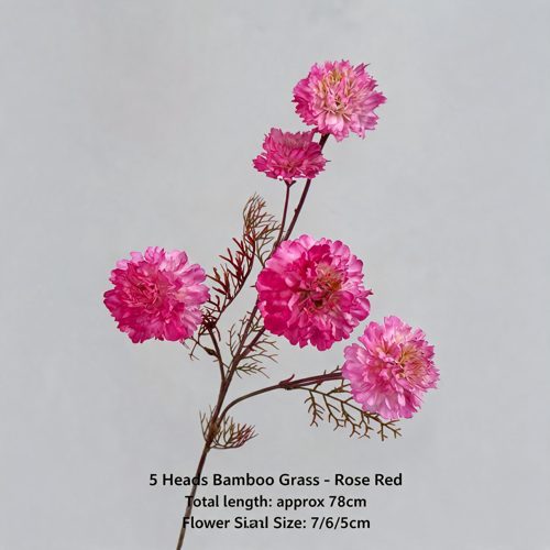 FSARCAN 5-Bloom Scabiosa — Rose Red