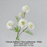 FSARCAN 5-Bloom Scabiosa — White