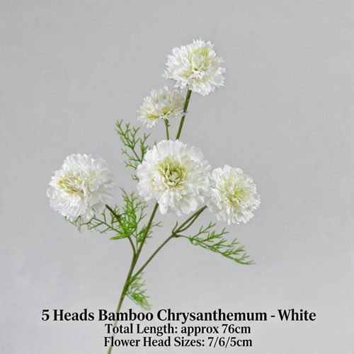 FSARCAN 5-Bloom Scabiosa — White